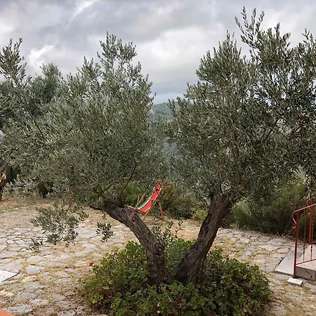 La Casa Nel Vigneto לינה וארוחת בוקר