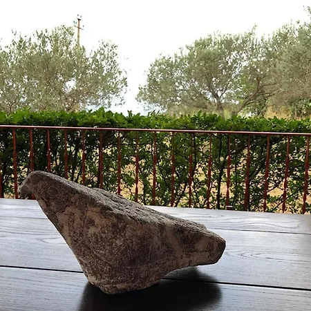 La Casa Nel Vigneto *