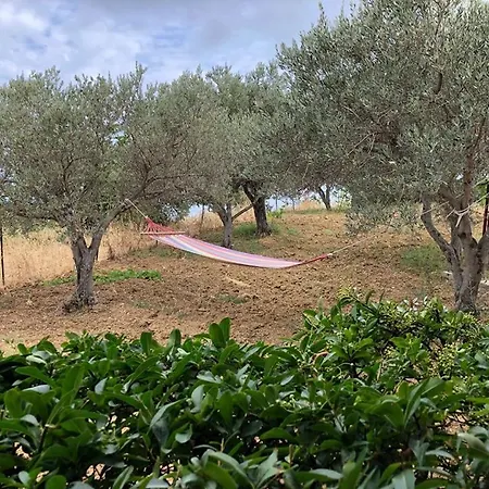 La Casa Nel Vigneto לינה וארוחת בוקר