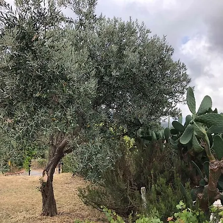 La Casa Nel Vigneto San Marco d'Alunzio