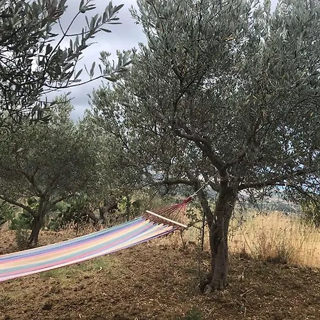 La Casa Nel Vigneto לינה וארוחת בוקר *