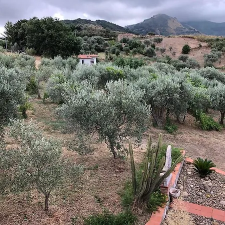 La Casa Nel Vigneto לינה וארוחת בוקר *