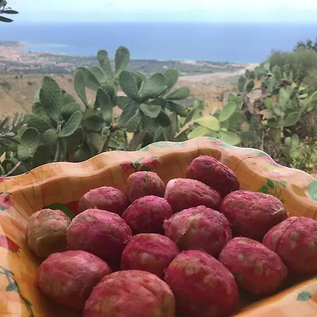 לינה וארוחת בוקר La Casa Nel Vigneto